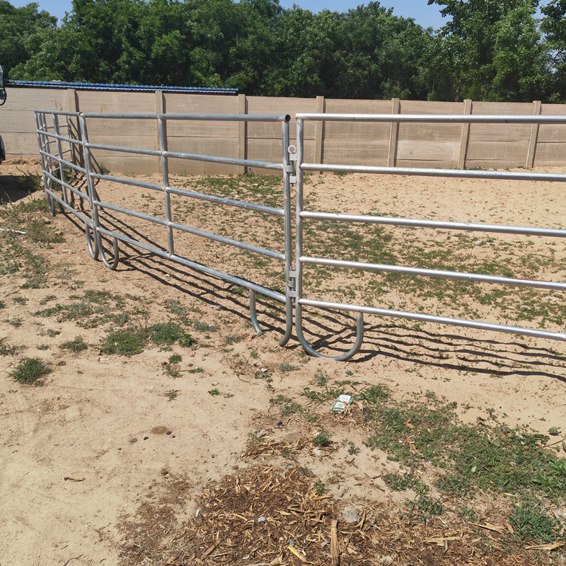 Racecourse Fence
