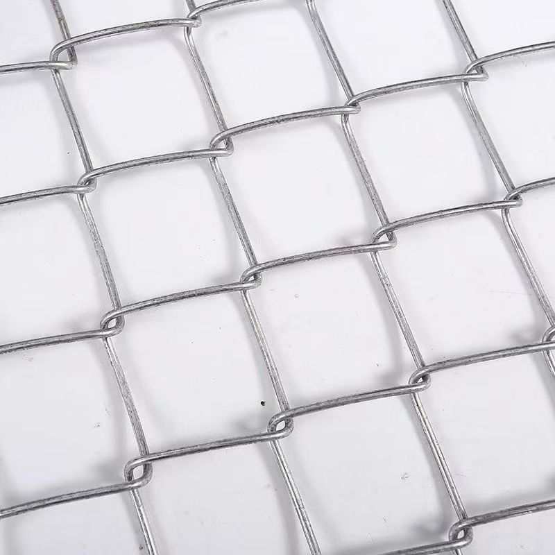 Hot Dip Galvanized Steel Wire Mesh Aquaculture Net