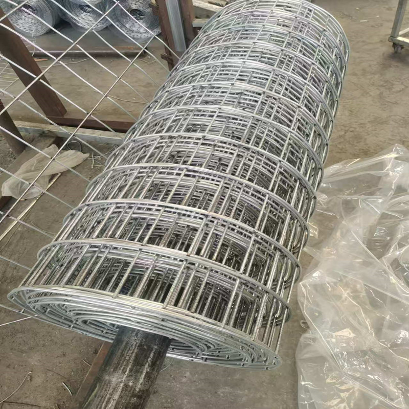 Bold Welded Mesh Coil