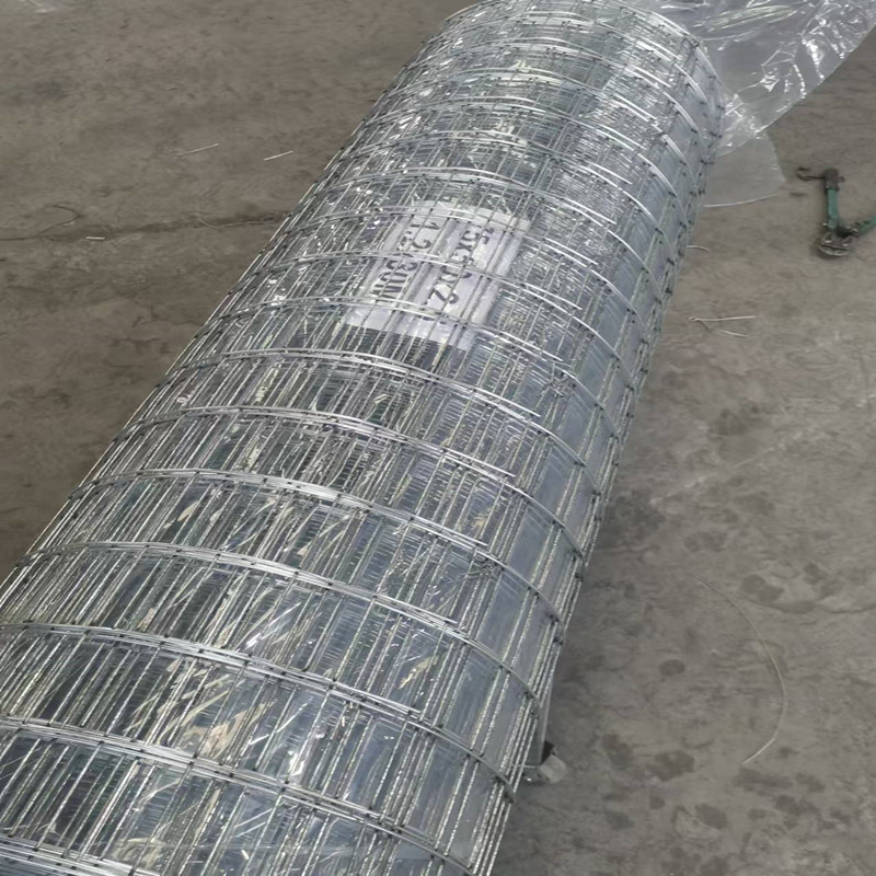 Bold Welded Mesh Coil