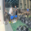 Track Winding Mesh, Steel Wire Damping Mesh, Barrier Mesh