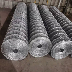 Bold Welded Mesh Coil